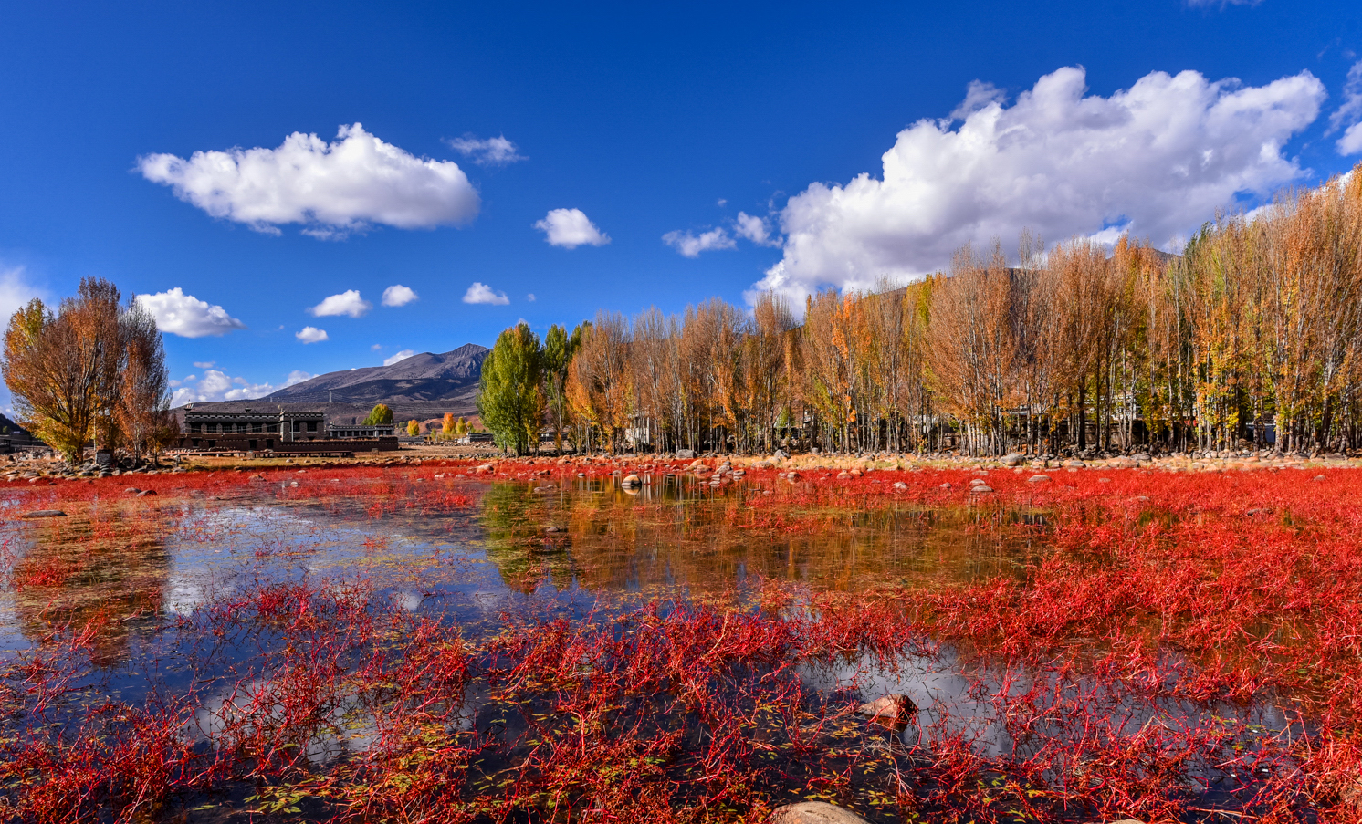 Autumn landscapes around Daocheng