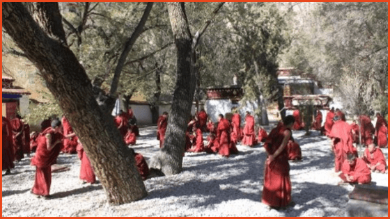 Traveling to Sera Monastery