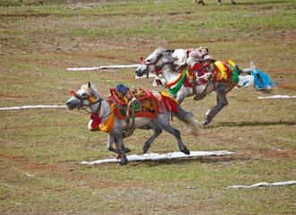 Horse race in Nagchu