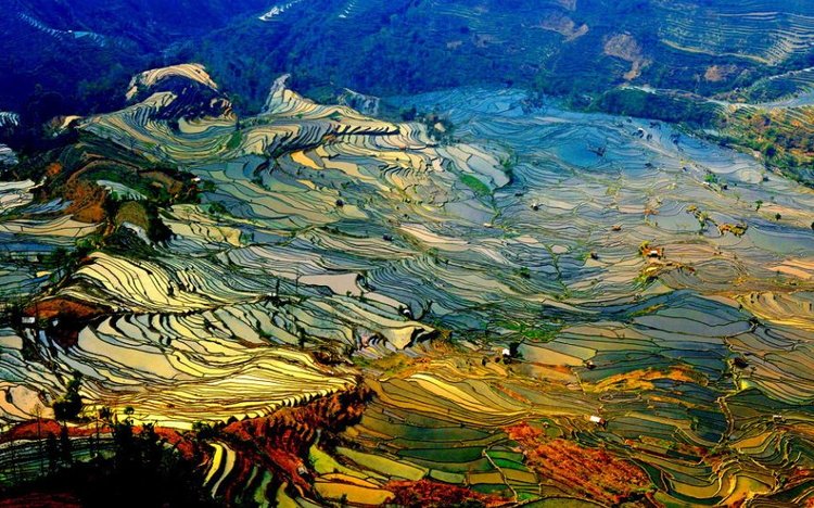 Yuanyang Rice Terrace in Yunnan