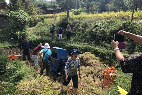 Farming at Guizhou ethnic villages