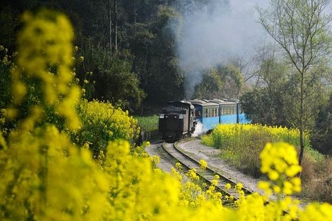 qianwei train