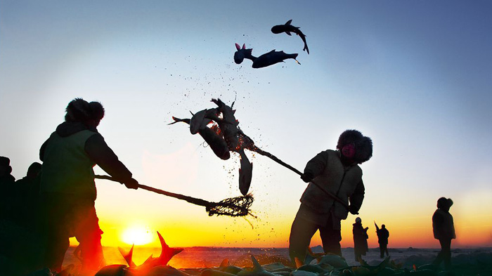 Jilin winter fishing in Chinese New Year